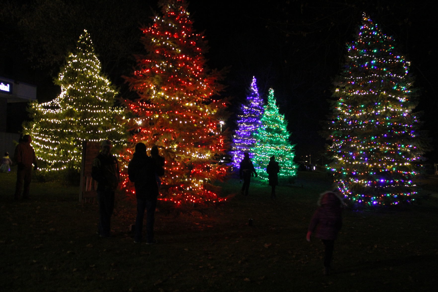 Love lights aglow